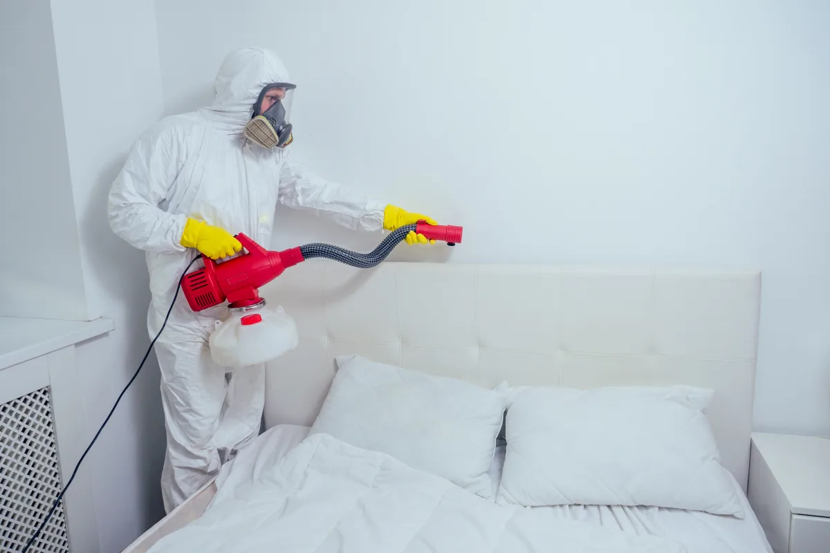 Bed bug pest control resource for Phoenix, Arizona homeowners.