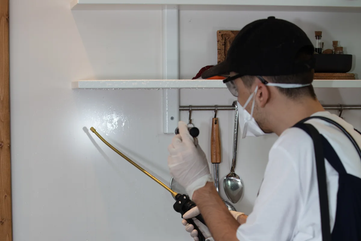 Cockroach exterminator resource for Phoenix homeowners.