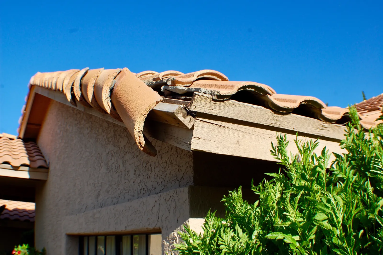 Roof storm damage repair service resource for Phoenix, Arizona homeowners.