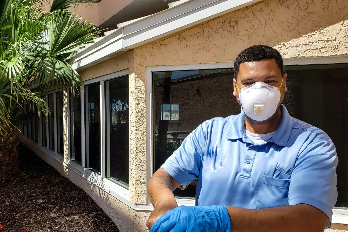 Wasp removal resource for Phoenix, Arizona homeowners.