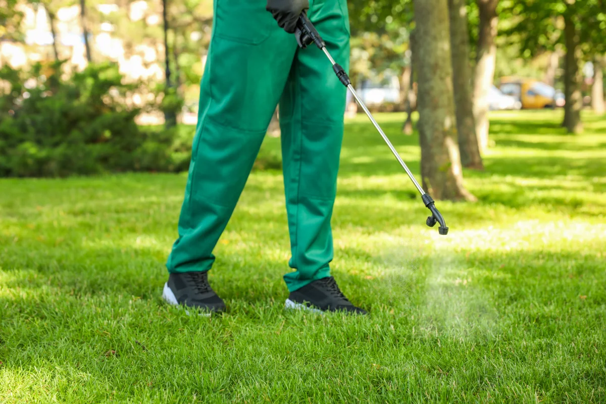 Weed control resource for Phoenix, Arizona homeowners.