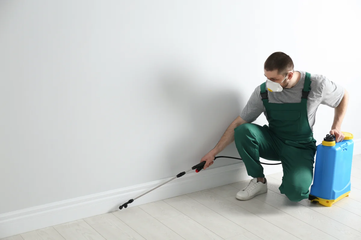 Carpenter ant control resource for Phoenix, Arizona homeowners.