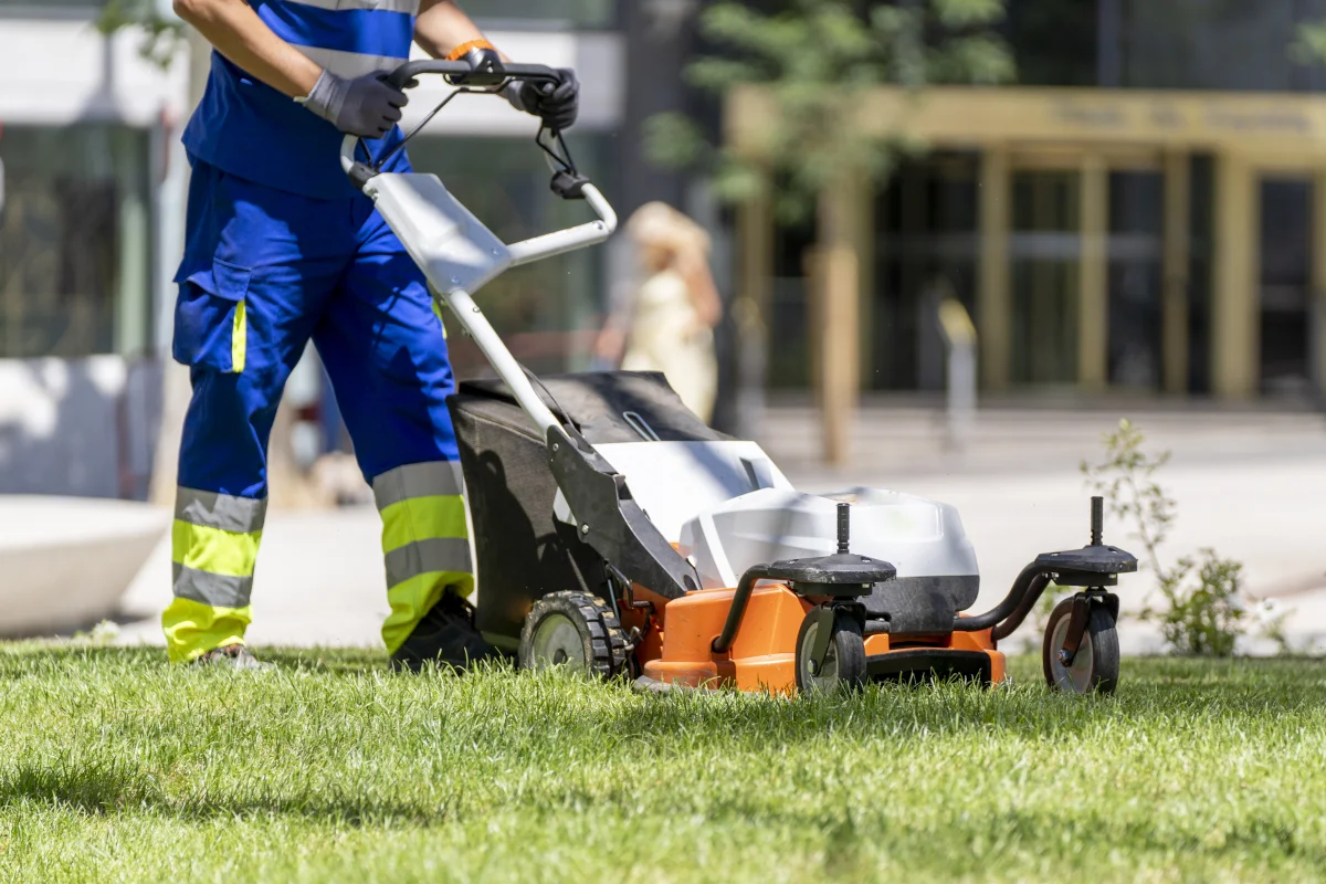 Commercial landscape maintenance resource for Phoenix property managers and businesses.
