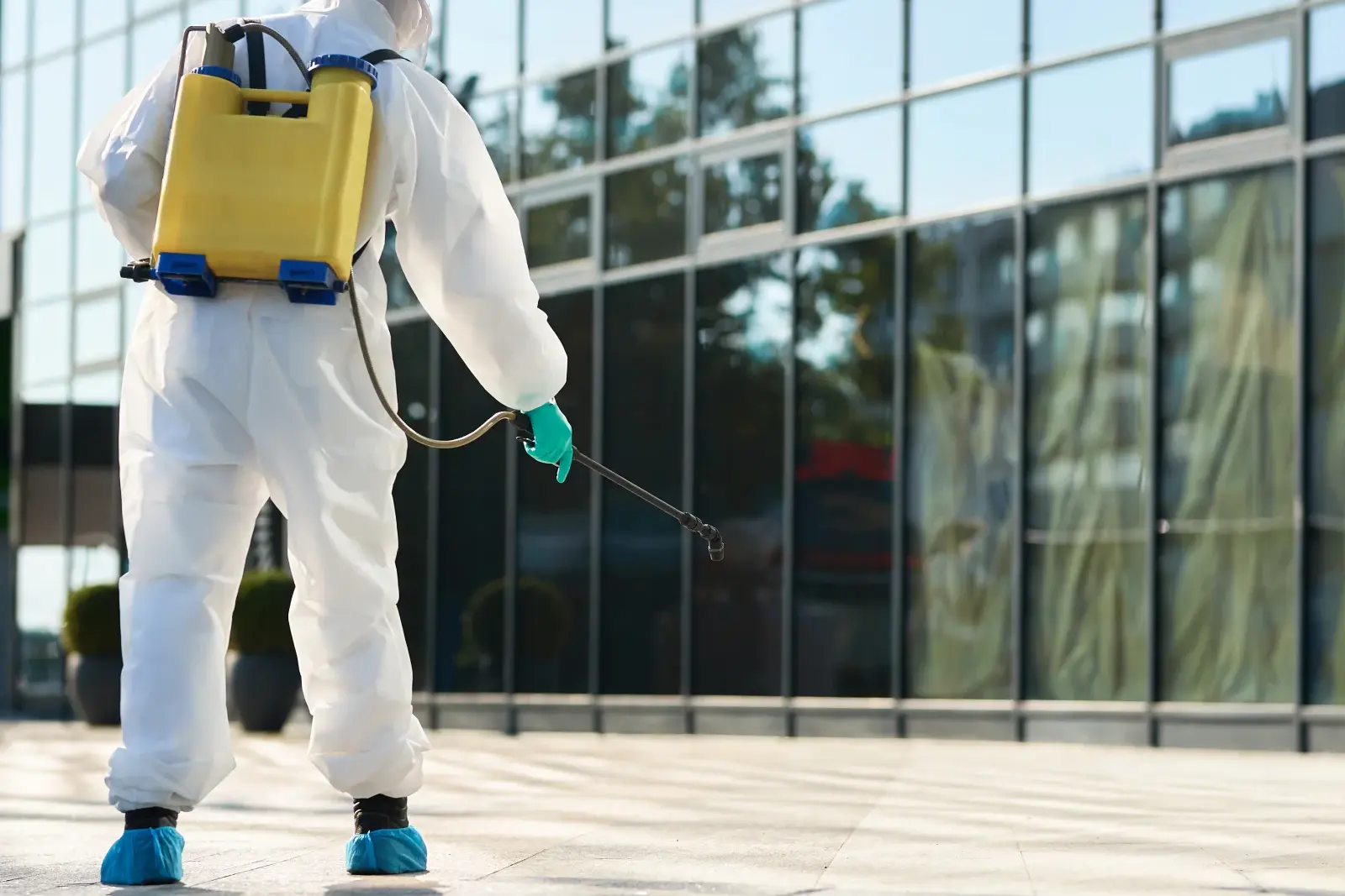 Commercial pest control resource for Phoenix, Arizona businesses.