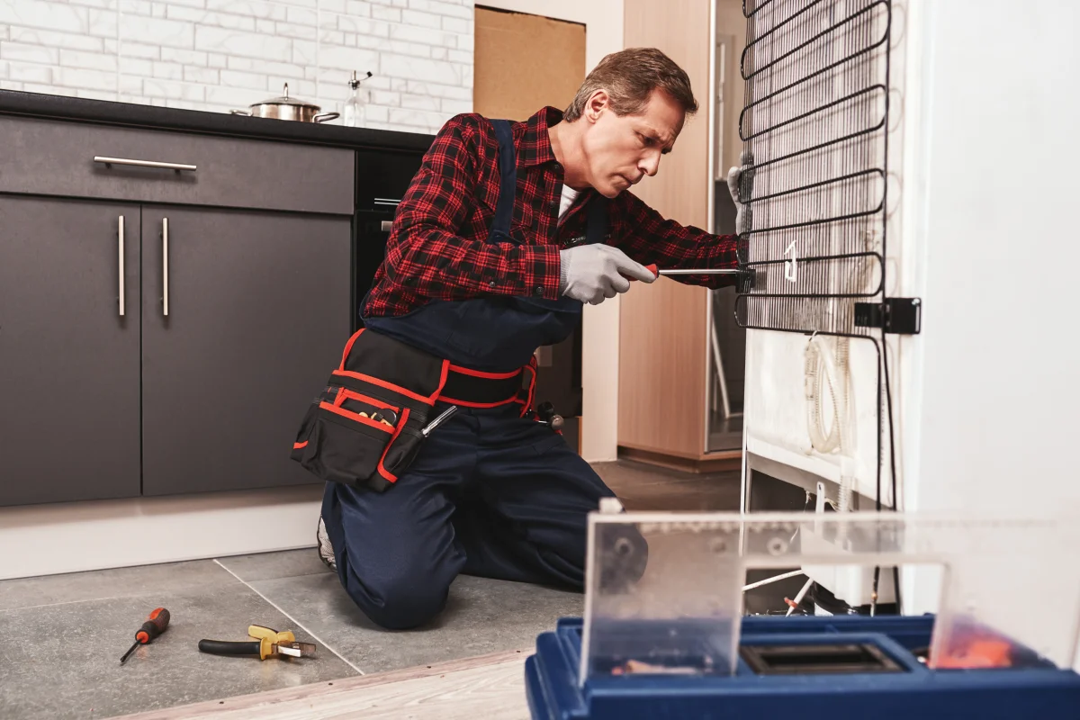 Electrolux repair resource for Phoenix homeowners.