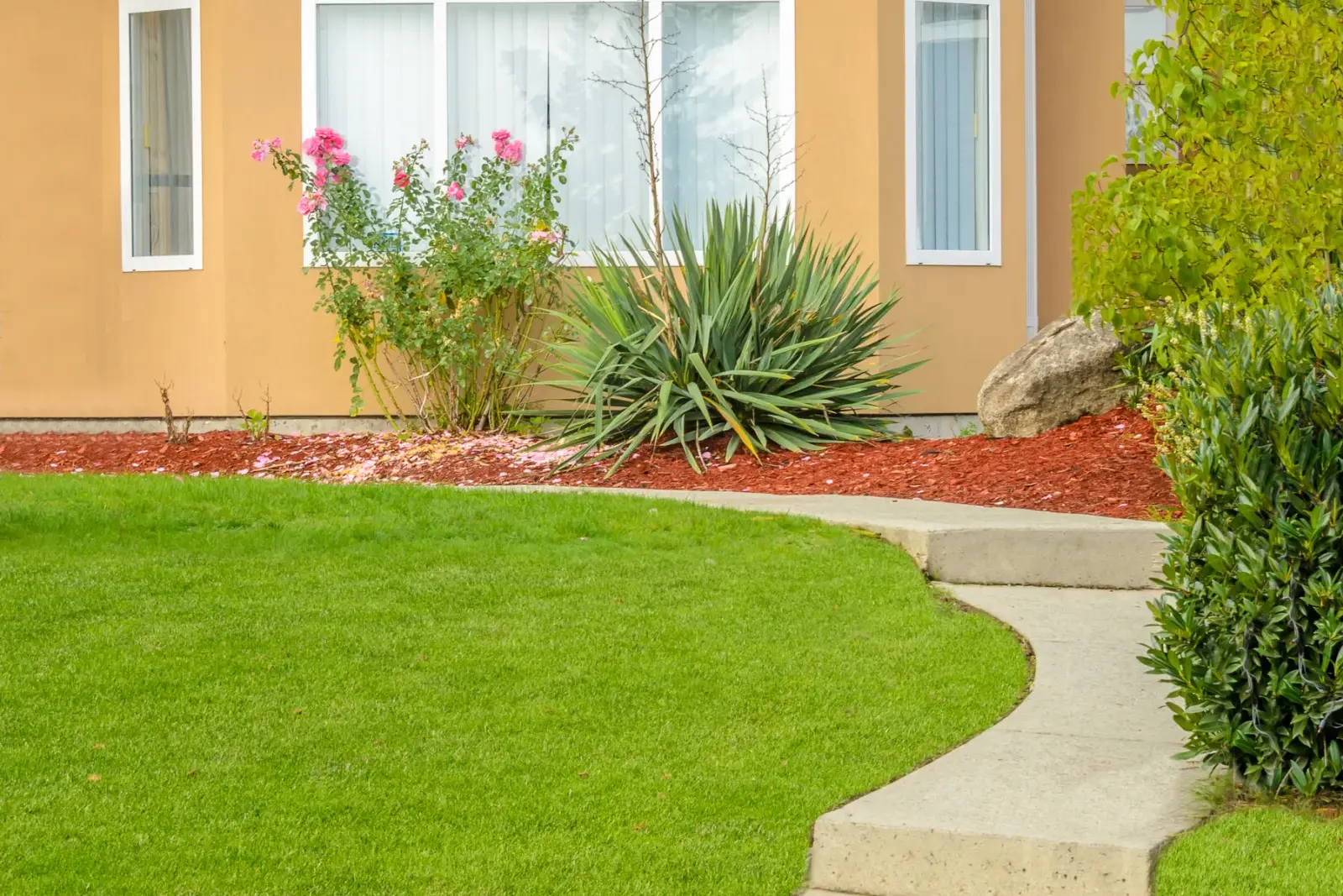 Synthetic grass installation resource for Phoenix, Arizona homeowners.